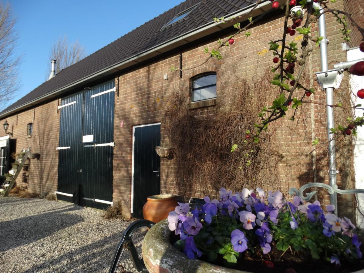 B & B 'Droom In De Polder De Suite Met Prive Sauna Arnemuiden Kültér fotó