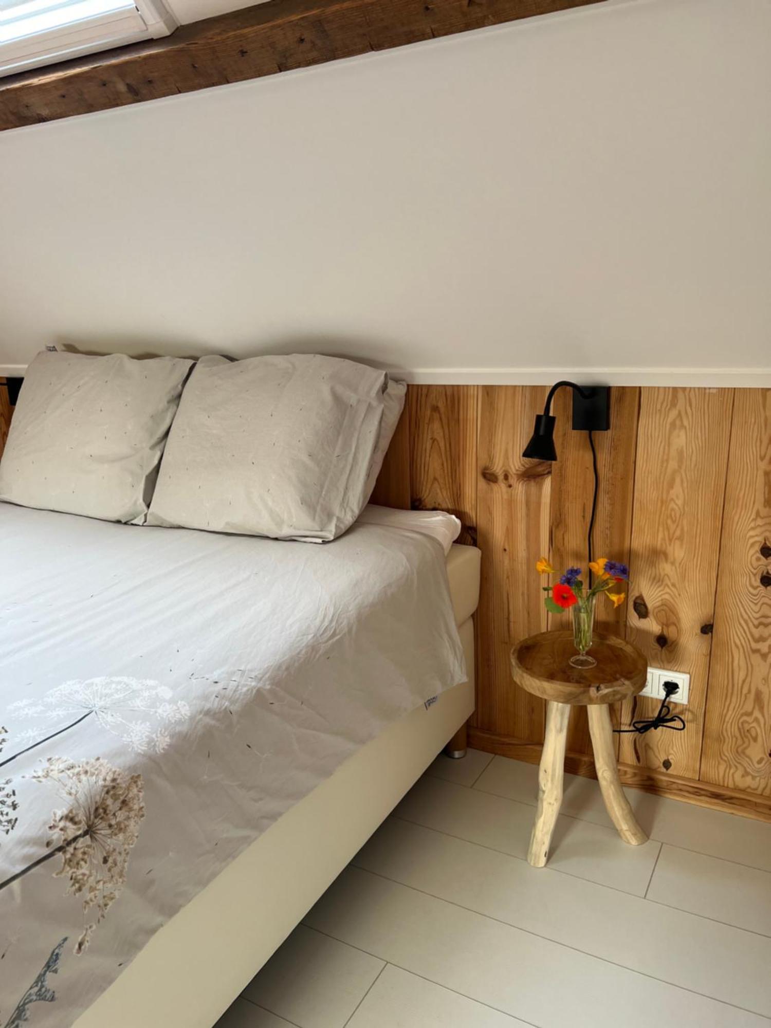 B & B 'Droom In De Polder De Suite Met Prive Sauna Arnemuiden Kültér fotó
